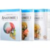 Anatomie  1 pack