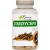 Cordyceps  90 cps